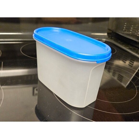 Vintage Tupperware Oval Modular Mates 4.5" 1612-1 With Blue Lid - Picture 1 of 8